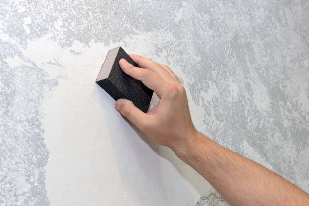 Best Post-Construction Mold Inspection  in Kingstree, SC