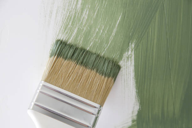 Best Basement Mold Removal  in Kingstree, SC