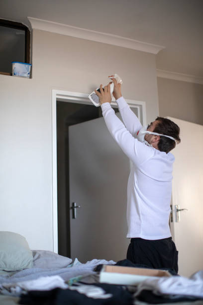 Best Air Quality Testing for Mold Spores  in Kingstree, SC