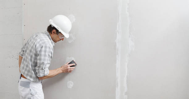 Best Industrial Mold Remediation  in Kingstree, SC