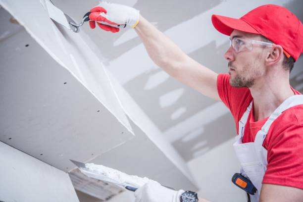 Best Forensic Mold Investigation  in Kingstree, SC