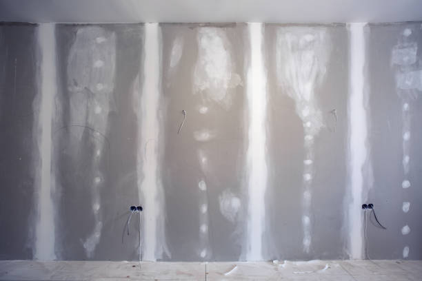 Best Crawl Space Mold Remediation  in Kingstree, SC