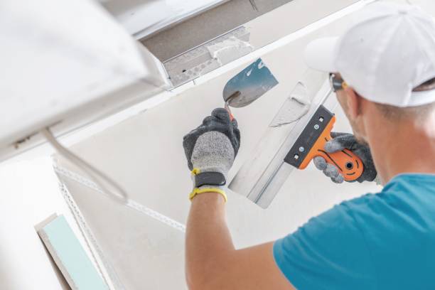 Best Emergency Mold Remediation  in Kingstree, SC